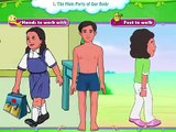 Partes del cuerpo explicadas para niños - Clases para niños