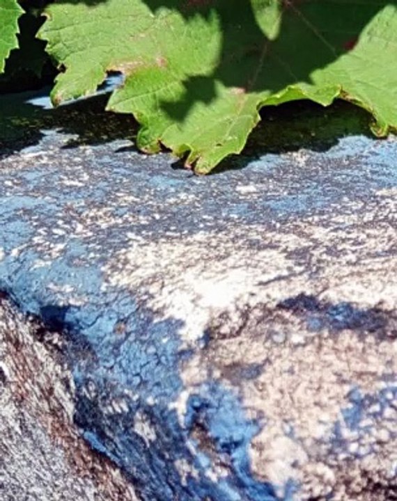 |HABIB ARIEL CORIAT HARRAR | NANOTECNOLOGÍA E INTELIGENCIA ARTIFICIAL (PARTE 1) (@HABIBARIELC)