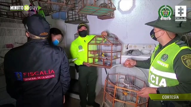 Recuperadas 224 especies silvestres en diligencias contra el tráfico de fauna
