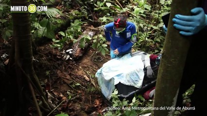 Hurones vuelven a ser libres, tras proceso de rehabilitación