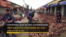 Rusia detecta primer caso de cepa #H5N8 de gripe aviar en seres humanos