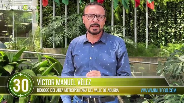 A celebrar el inicio de la Navidad en armonía con los ecosistemas El Área Metropolitana hace un llamado a NO quemar pólvora y a cuidar la vida de las personas y los animales