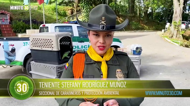 Incautaron más de 15 especies de fauna silvestre en el Valle de Aburrá