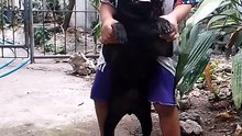 laro muna sila cloudy