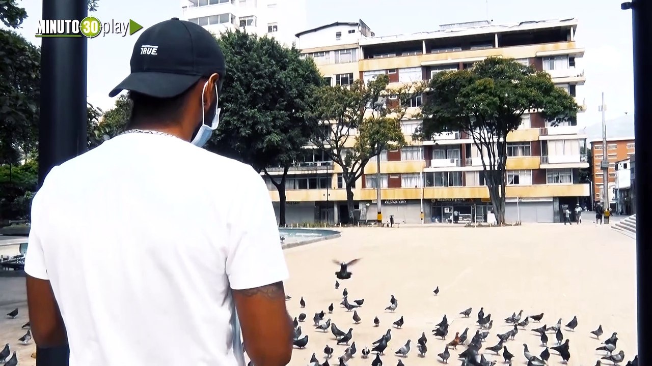 palomas con hambre corrección