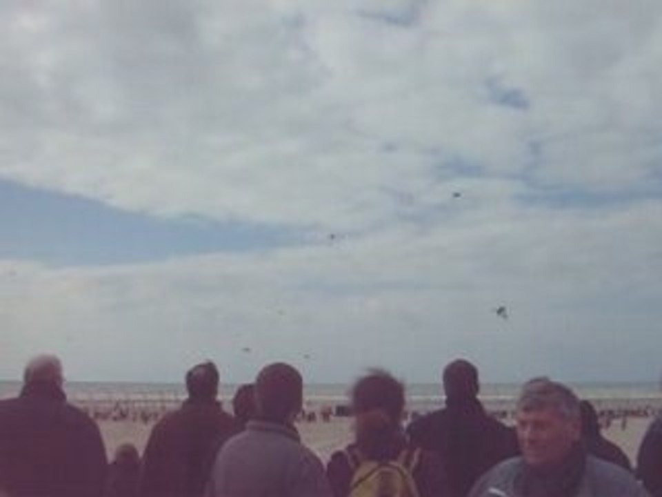festivale mondiale du cerfs volants 2008 a Berck