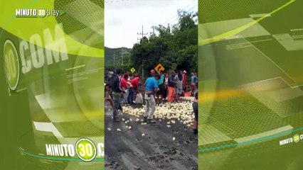 ¡Preocupante! Empresa avícola debe tirar a la calle a sus pollitos, porque no hay comida