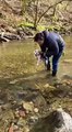 #CUTE: Cachorro aprendiendo a nadar mientras su dueño lo anima.