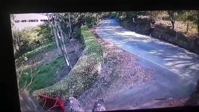 Se comieron la curva trágico accidente de motociclistas, critican al conductor del camión que se fue sin ayudar