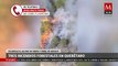 Autoridades controlan incendios forestales en Querétaro