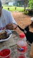 #CUTE: Un gato callejero pide amablemente comida
