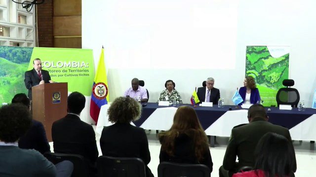 Los cultivos de coca en Colombia crecieron un 43 en 2021 según la ONU