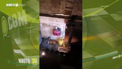 Un salvaje golpeó sin piedad a un perrito