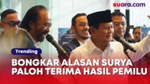 Bongkar Alasan Surya Paloh Terima Hasil Pemilu, Ordal Nasdem Sentil Si Petualang Politik