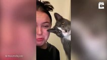 #VIRAL: Así reacciona gato tras escuchar a su dueña imitar maullido