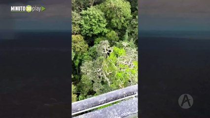 Así es la difícil selva donde buscan a los desaparecidos de la avioneta