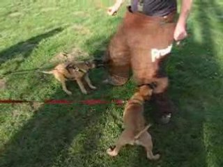 Dak et Dem: Understanding Their Impact