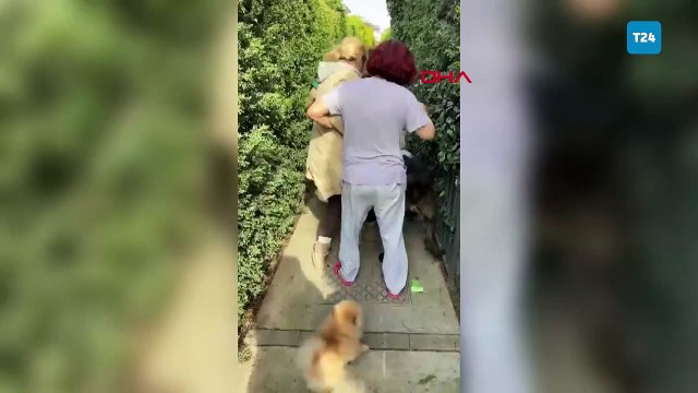 Beylikdüzü'nde Banu Parlak'ın köpeği saldırdığı komşusunun köpeğini öldürdü