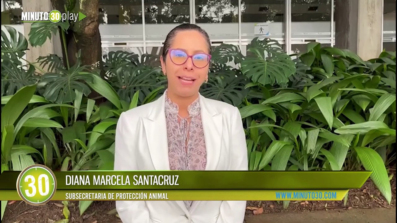 Va a viajar con mascotas en Semana Santa  Estás son algunas recomendaciones a tener en cuenta