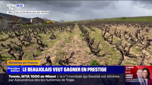 Beaujolais: des vignerons veulent monter en gamme et lancer des bouteilles Premiers crus