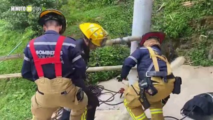 Bomberos de La Estrella le salvaron la vida a un perrito