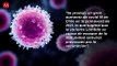 Vacunas de anti Covid-19 no funcionan contra Variante Lambda de coronavirus