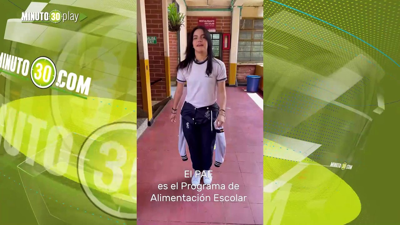 Qué es el PAE