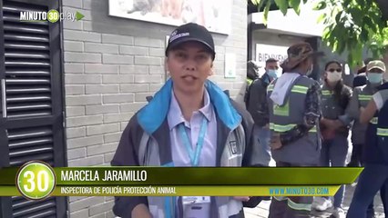 20 animales en riesgo fueron rescatados de la Plaza Minorista