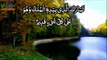 Heart Touching Recitation Of Surah Mulk With Urdu by 786 cuisine سوره الملك اردو ترجمہ کے ساتھ
