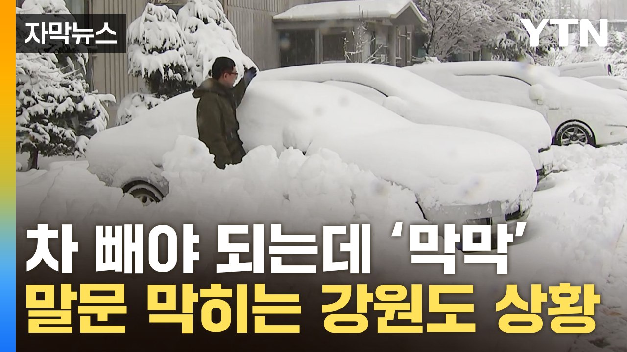 [자막뉴스] 다음 주가 벚꽃축제인데...깜짝 놀랄 강원도 모습 / YTN