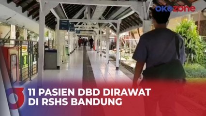 Kasus DBD Meningkat, RSHS Bandung Rawat 11 Pasien Disertai Keluhan Berat