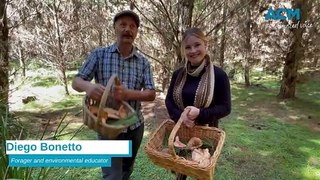 The do's and don'ts of foraging with Diego Bonetto