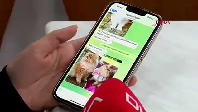 Hayvan satışı sosyal medyada arttı: 'Bunun bir an önce bir şekilde durdurulması gerekiyor'