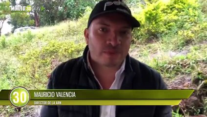 Gobierno invierte casi 3 mil milones en proyectos cafeteros para excombatientes