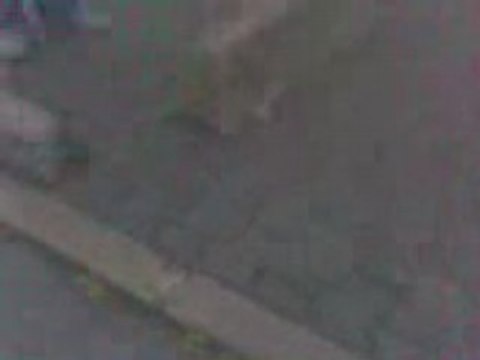 un gros lard ki leche un lampadaire