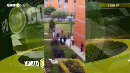 Terrible Pitbull sin bozal mató un gato dentro de un conjunto residencial