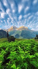 Kashmir Beautiful view