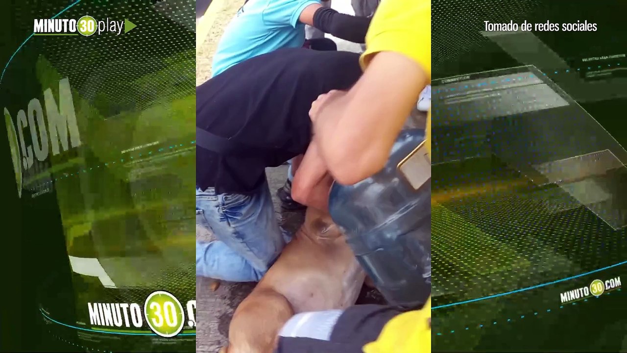 Se estaba sofocando rescatan a perrito que dejaron por horas en un carro encerrado en Medellín