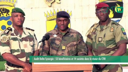 [#Reportage] Audit Delta Synergie : 53 bénéficiaires et 14 sociétés dans le viseur du CTRI