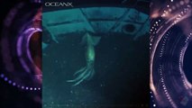 Captan calamar gigante en las profundidades del Mar Rojo
