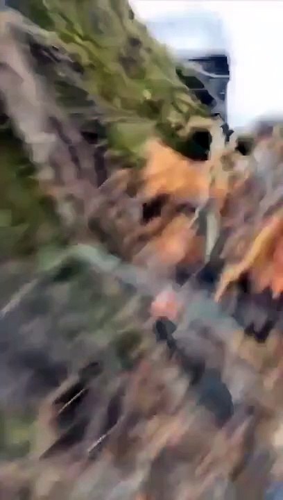 Putin’den talimat! 'Her gün ölmedikleri için pişman olsunlar'