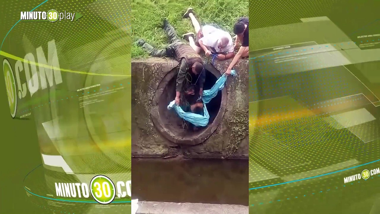 rescate perro Cali