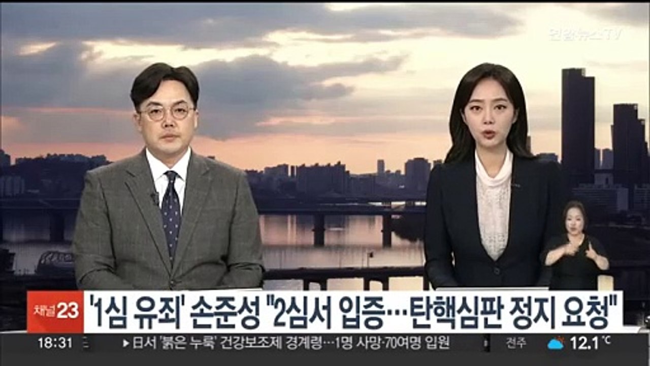 '1심 유죄' 손준성 "2심서 입증…탄핵심판 정지 요청"