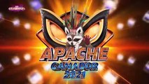 ¡Apache es el gran ganador de Quién Es La Máscara 2021!