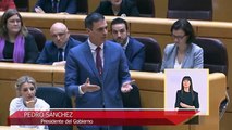 Nuevo cruce de reproches entre Sánchez y Feijóo en el Senado