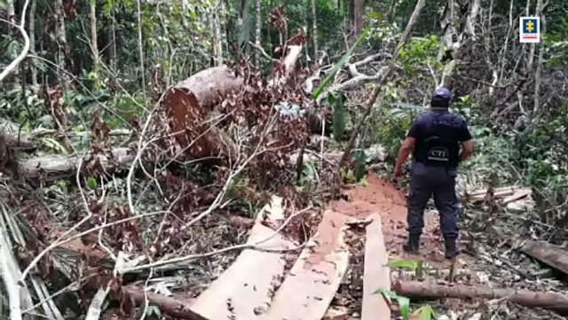 15-08-21 Bien hecho Judicializan a 16 personas por delitos ambientales e incautan tonelada y media de Coltan (2)