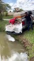 #VIRAL: Un hombre se resbala y cae mientras repone peces en un estanque