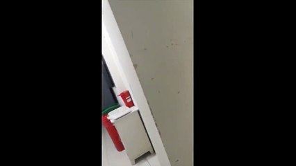 Fiesta de medicos en el hospital de Rioacha