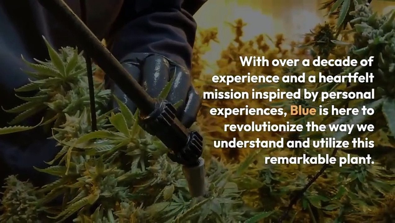 Cannabis Revolutionization: Christopher "Blue" Wright's Masterclass