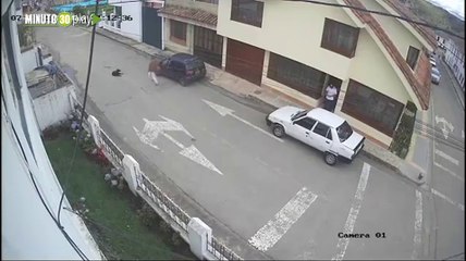 Conductor arrolló perro Cundinamarca